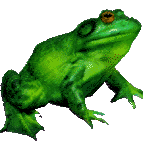 frog